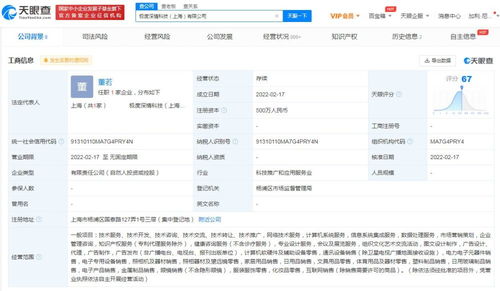 信息系統集成服務的深度解析